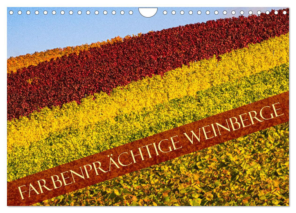 Farbenprächtige Weinberge (CALVENDO Wandkalender 2024)