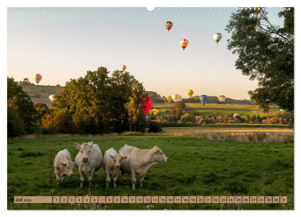 Montgolfiade der Ballone im Sauerland (CALVENDO Premium Wandkalender 2024)