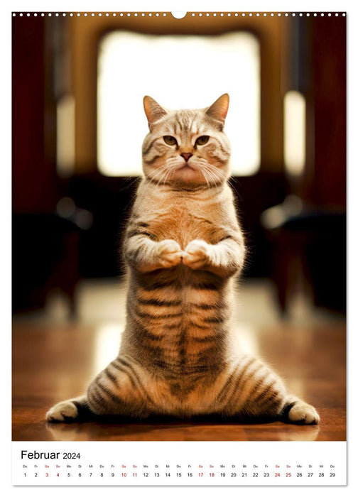 Miau Yoga (CALVENDO Premium Wandkalender 2024)