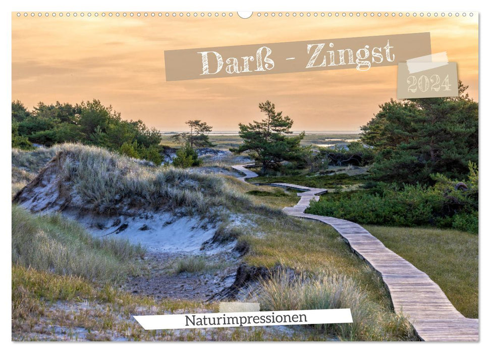 Impressions de la nature Darß-Zingst (calendrier mural CALVENDO 2024) 