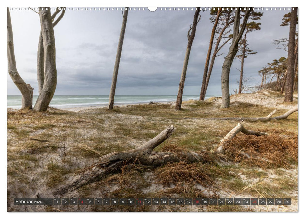 Impressions de la nature Darß-Zingst (calendrier mural CALVENDO 2024) 