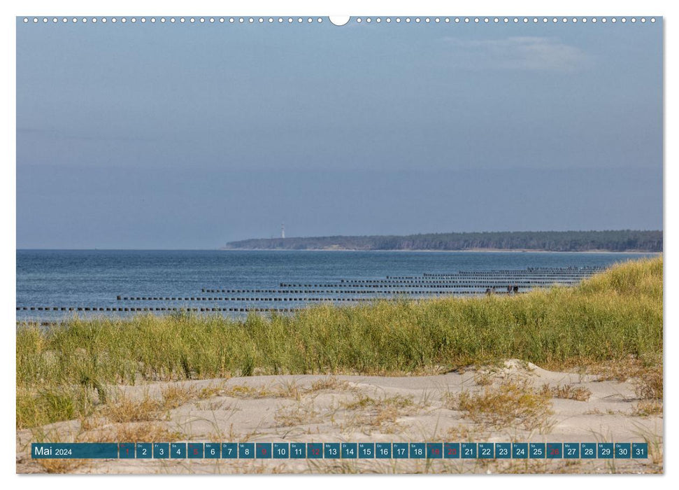 Darß-Zingst Naturimpressionen (CALVENDO Wandkalender 2024)