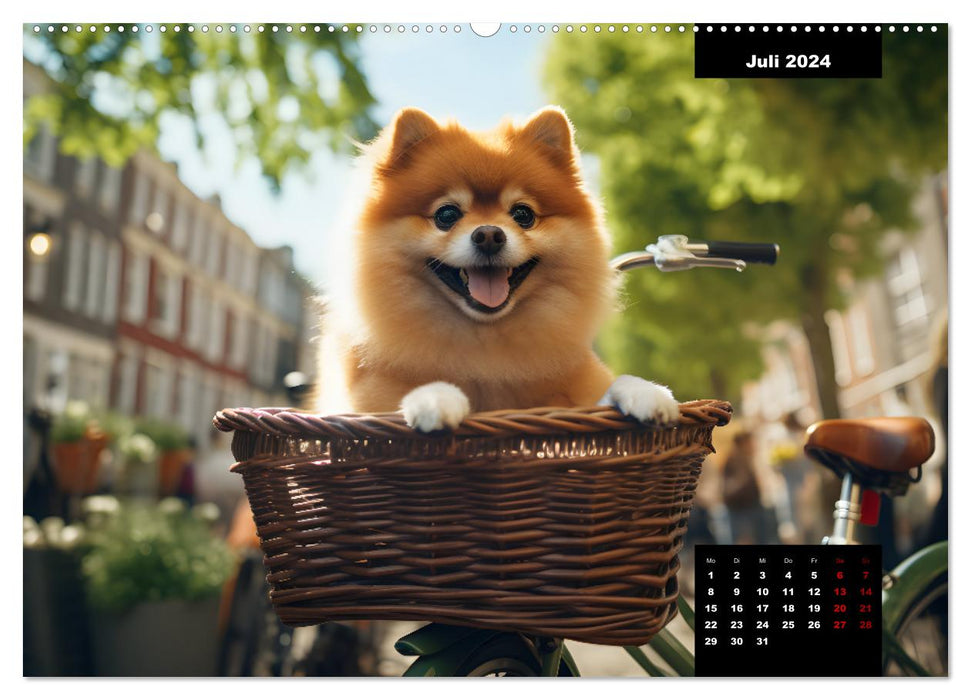 Zwergspitze - kleine Hunde, große Persönlichkeiten (CALVENDO Premium Wandkalender 2024)