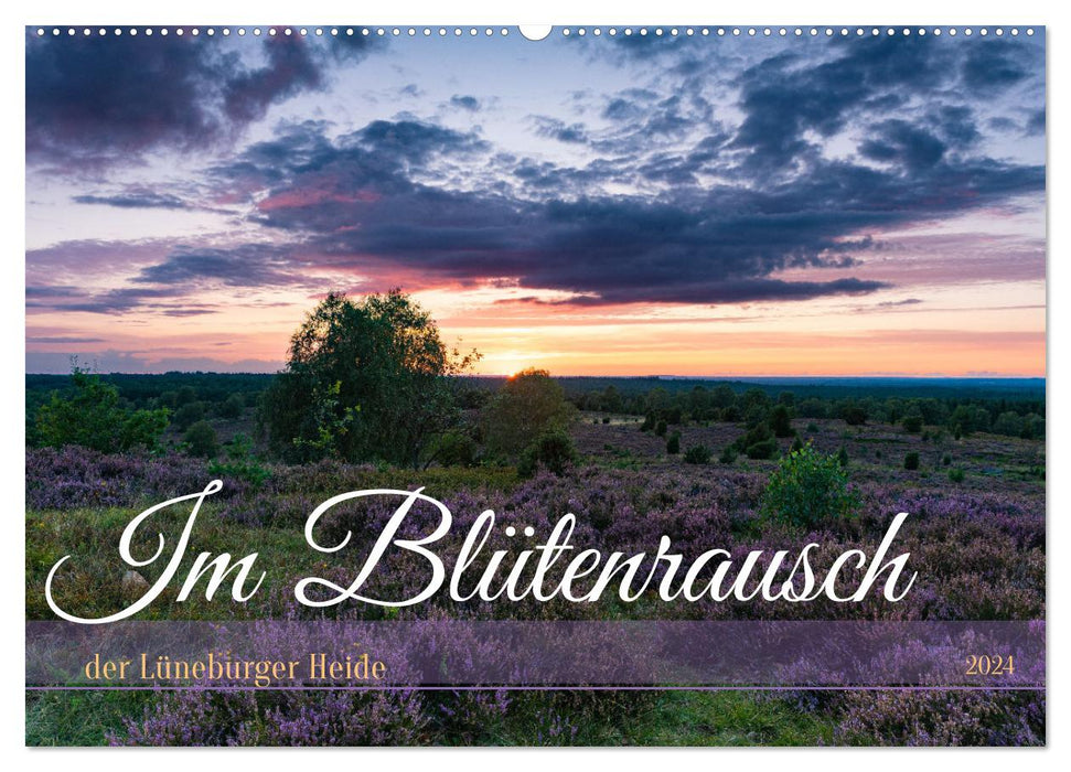 Im Blütenrausch der Lüneburger Heide (CALVENDO Wandkalender 2024)