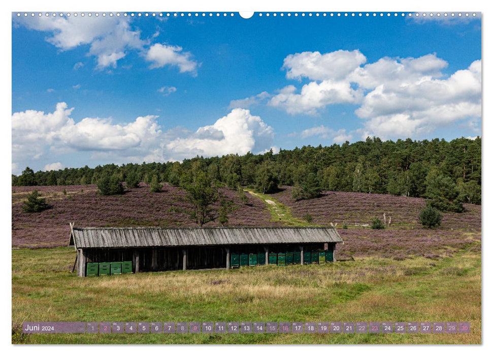 Im Blütenrausch der Lüneburger Heide (CALVENDO Wandkalender 2024)