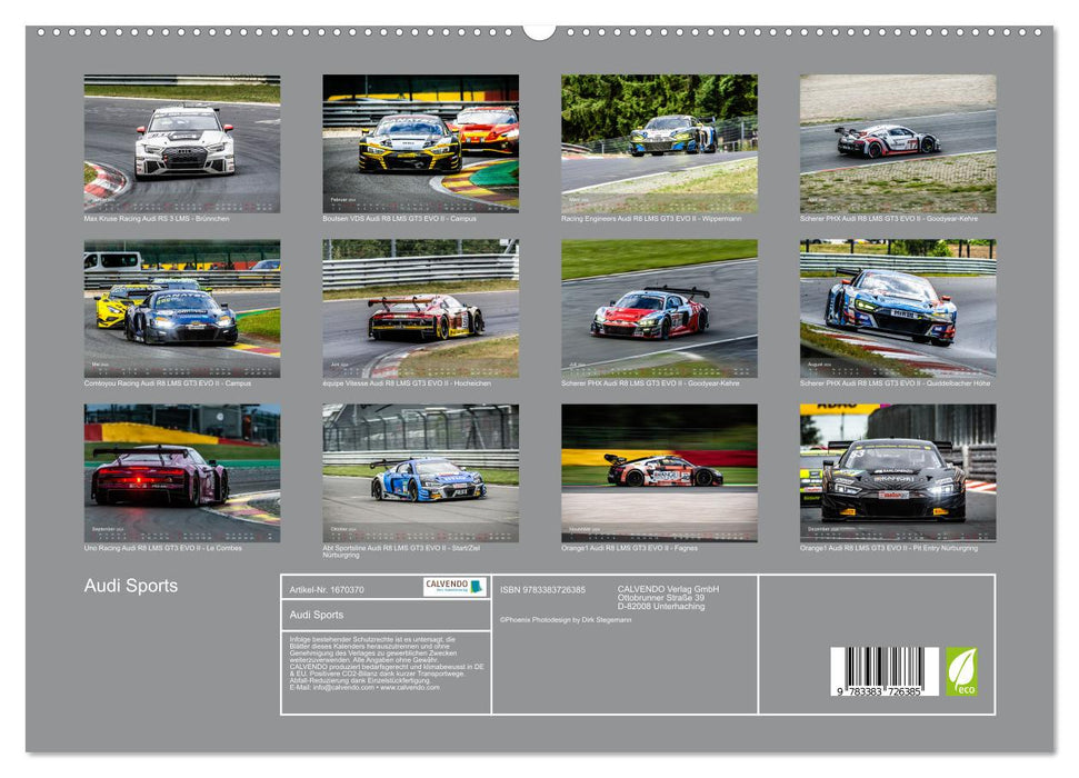 Audi Sports (CALVENDO Premium Wandkalender 2024)