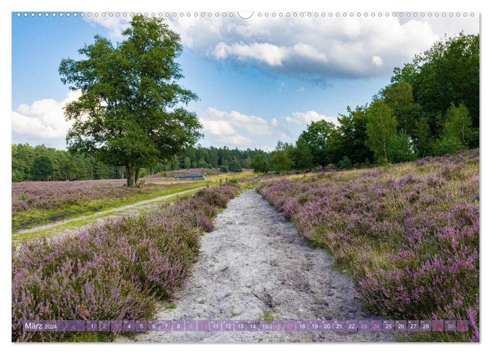 Im Blütenrausch der Lüneburger Heide (CALVENDO Premium Wandkalender 2024)