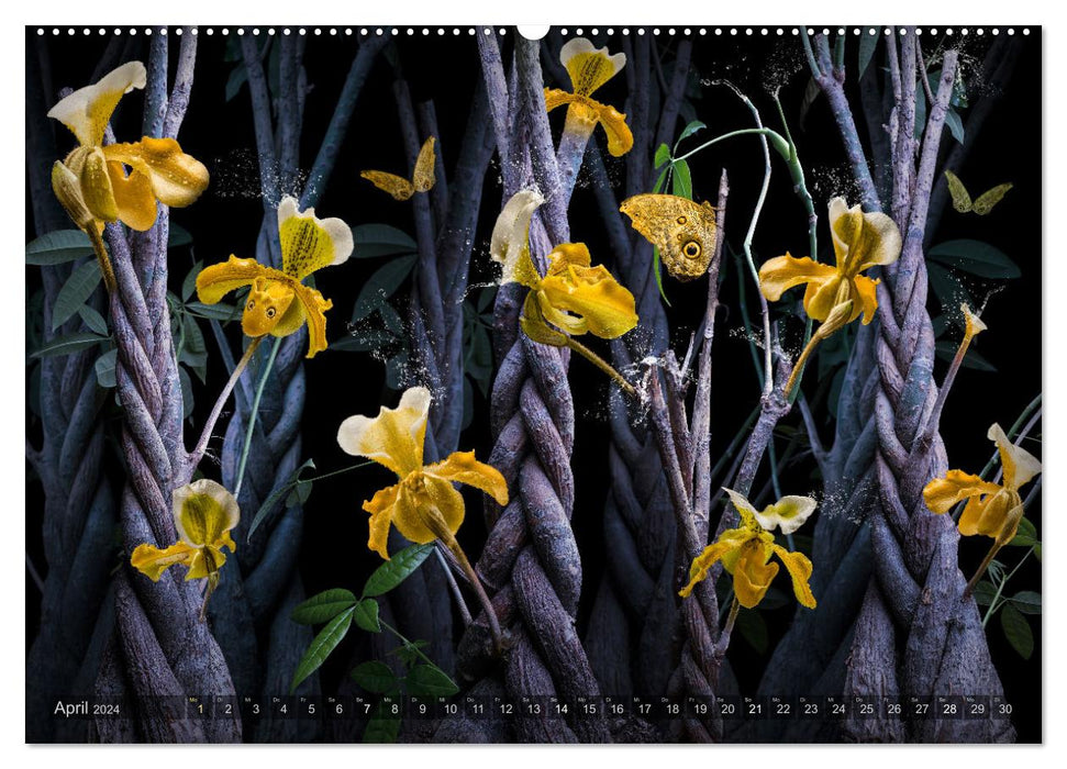 Orchidea (CALVENDO Wandkalender 2024)