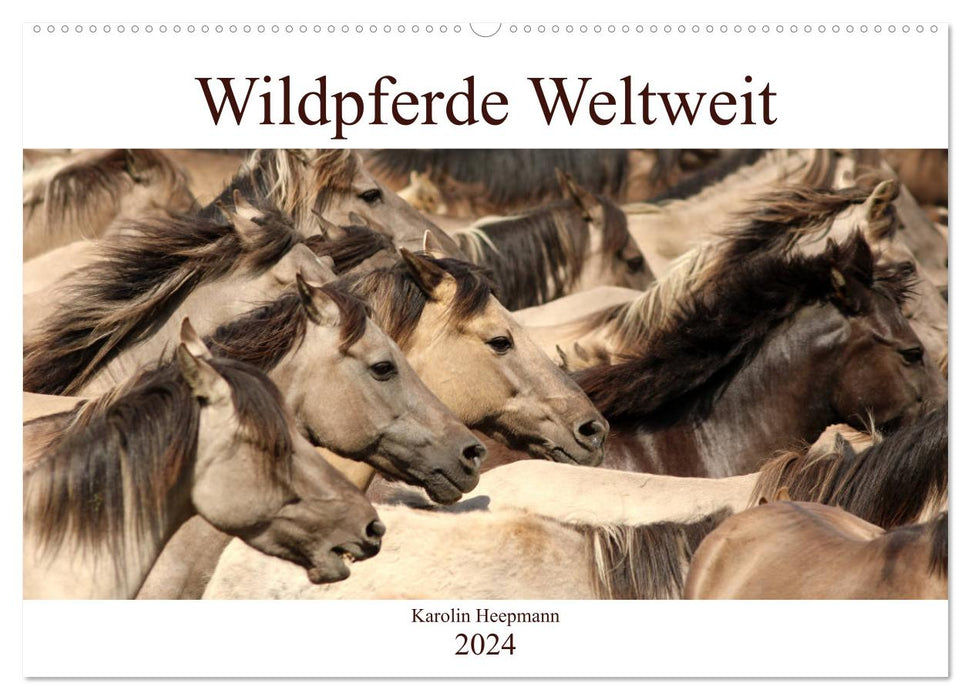 Wildpferde Weltweit (CALVENDO Wandkalender 2024)