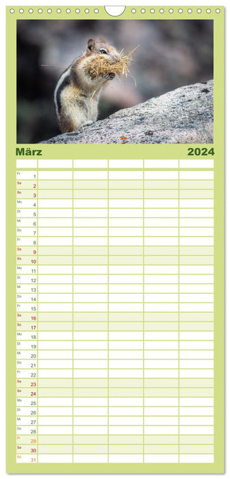 Wildtierkalender (CALVENDO Familienplaner 2024)