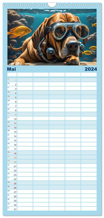 Hunde abgetaucht (CALVENDO Familienplaner 2024)