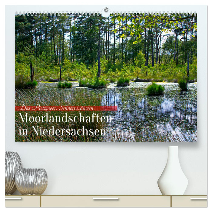 Niedersachsens Moorlandschaften - Das Pietzmoor, Schneverdingen (CALVENDO Premium Wandkalender 2024)