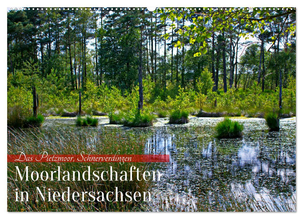 Niedersachsens Moorlandschaften - Das Pietzmoor, Schneverdingen (CALVENDO Wandkalender 2024)