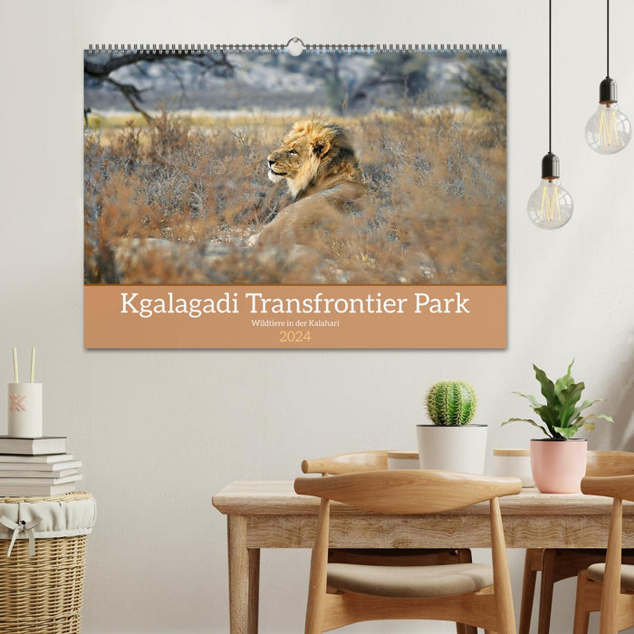 Kgalagadi - Fauna und Wildtiere in der Kalahari (CALVENDO Wandkalender 2024)