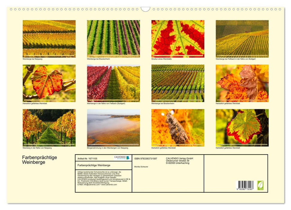 Farbenprächtige Weinberge (CALVENDO Wandkalender 2024)