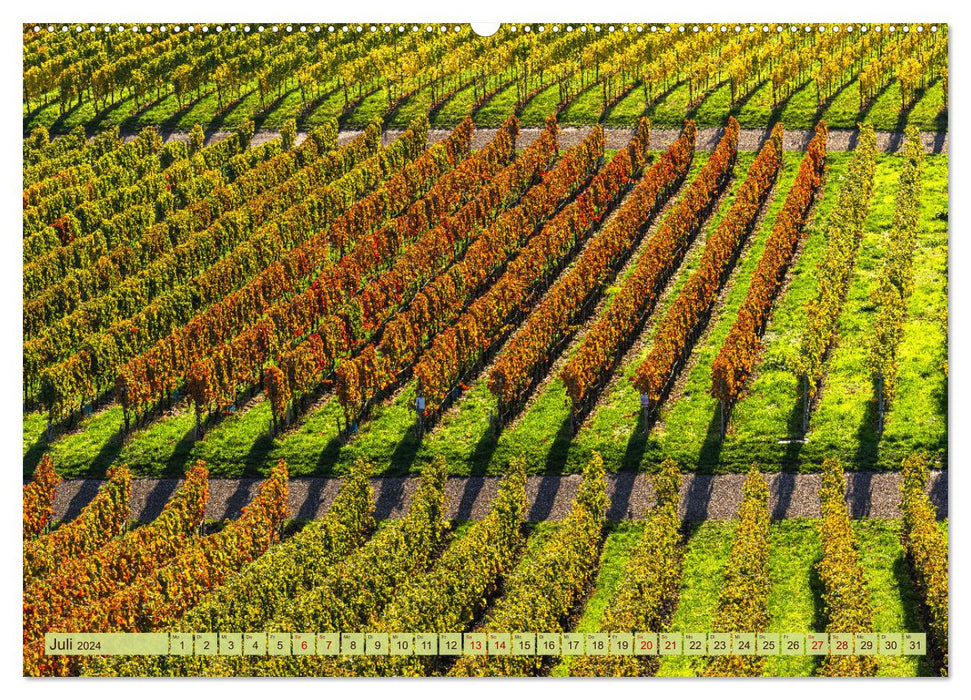 Farbenprächtige Weinberge (CALVENDO Premium Wandkalender 2024)