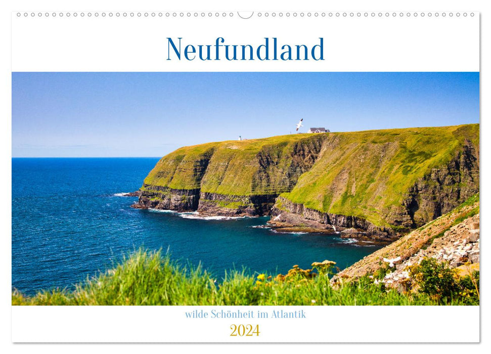Terre-Neuve - beauté sauvage de l'Atlantique (calendrier mural CALVENDO 2024) 