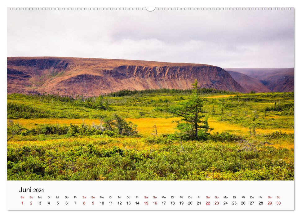 Terre-Neuve - beauté sauvage de l'Atlantique (Calendrier mural CALVENDO Premium 2024) 