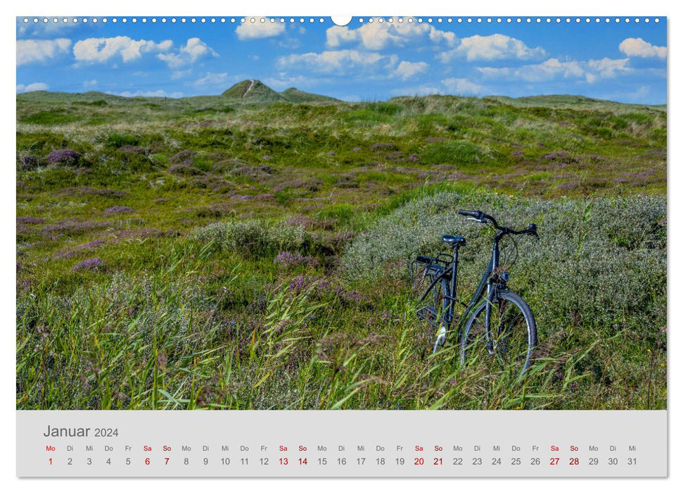 Côte danoise de la mer du Nord - d'Esbjerg à Sondervig (Calvendo Premium Wall Calendar 2024) 