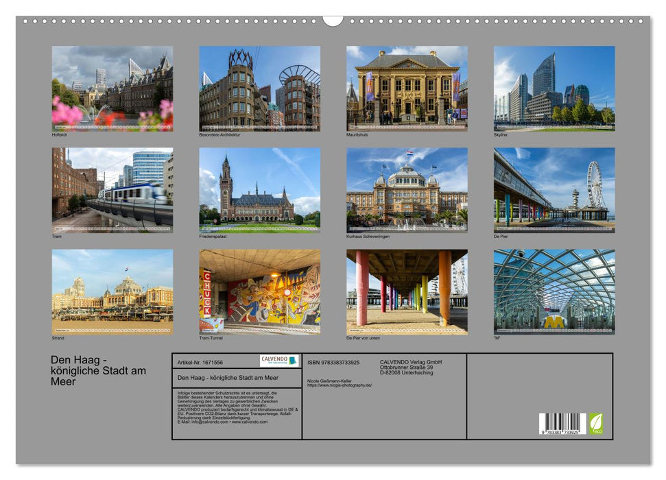 Den Haag - königliche Stadt am Meer (CALVENDO Wandkalender 2024)