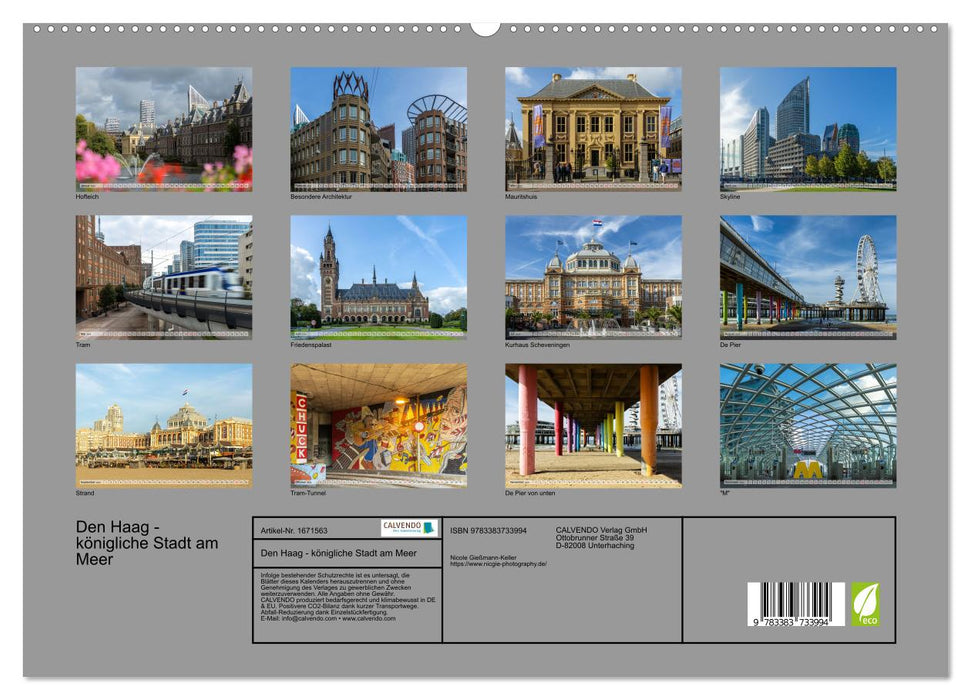 Den Haag - königliche Stadt am Meer (CALVENDO Premium Wandkalender 2024)