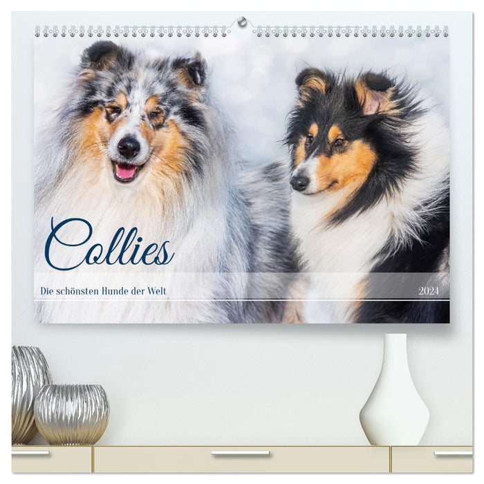 Collies - die schönsten Hunde der Welt (CALVENDO Premium Wandkalender 2024)
