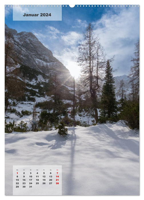 Saisons alpines : Une année à la montagne (Calendrier mural CALVENDO Premium 2024) 