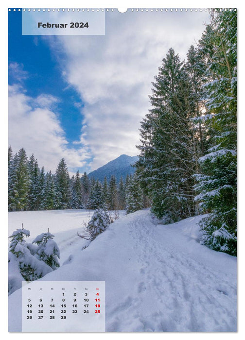 Alpine Jahreszeiten: Ein Jahr in den Bergen (CALVENDO Premium Wandkalender 2024)