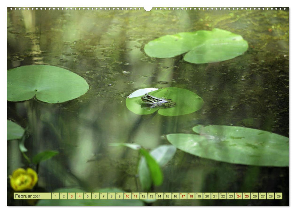 Alles im grünen Bereich (CALVENDO Premium Wandkalender 2024)