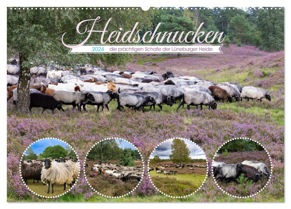 Heidschnucken, die prächtigen Schafe der Lüneburger Heide (CALVENDO Wandkalender 2024)
