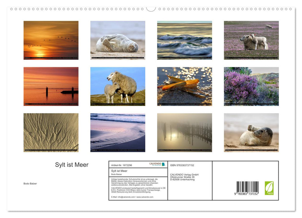 Sylt ist Meer (CALVENDO Premium Wandkalender 2024)