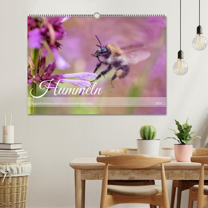 Hummeln - Flugaufnahmen eines faszinierenden Insekts (CALVENDO Wandkalender 2024)