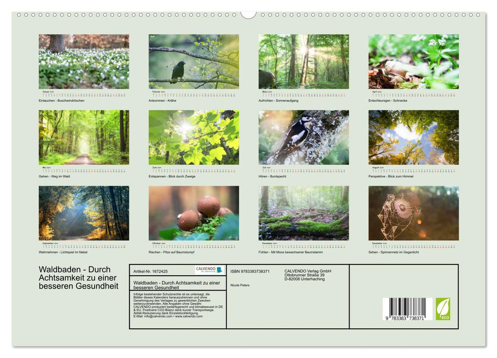 Bain de forêt - par la pleine conscience pour une meilleure santé (Calendrier mural CALVENDO Premium 2024) 