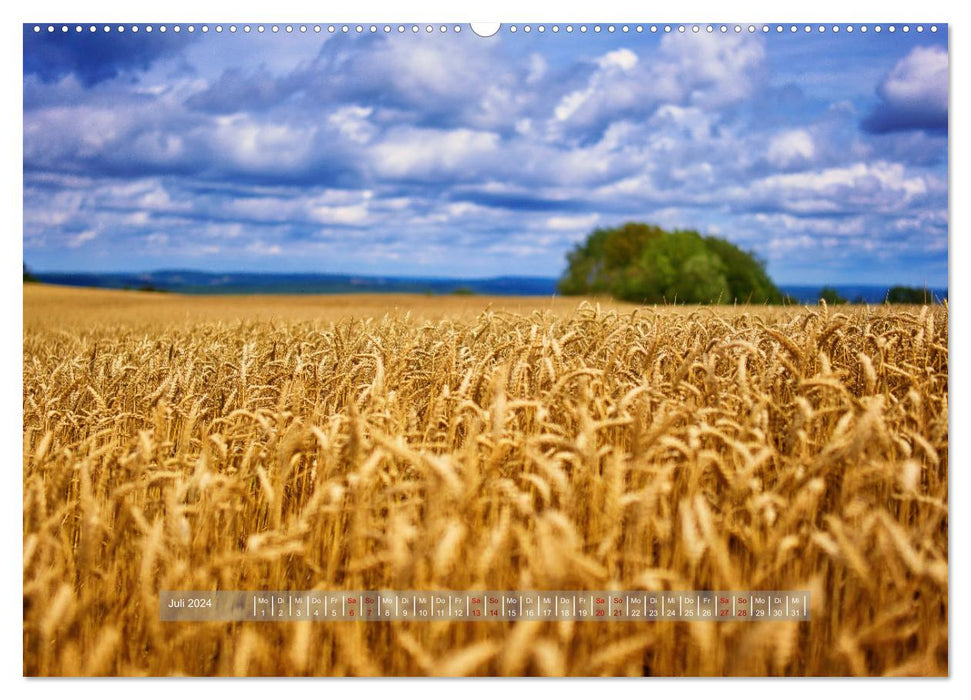 Paysages de rêve de Thuringe (calendrier mural CALVENDO Premium 2024) 