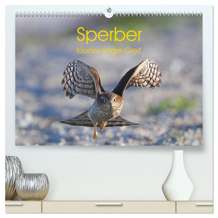 Sperber - Kleiner Vogel Greif (CALVENDO Premium Wandkalender 2024)