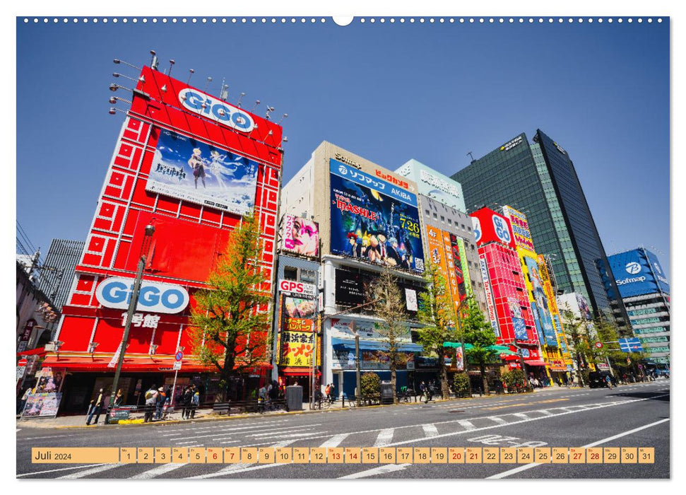 Impressionen aus Tokio, der Megastadt im Land der aufgehenden Sonne (CALVENDO Premium Wandkalender 2024)