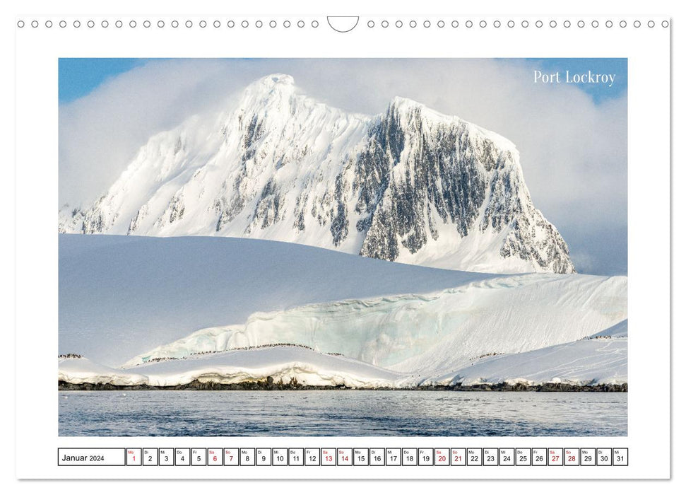 Die Antarktis - Eis, Meer und wilde Tiere (CALVENDO Wandkalender 2024)