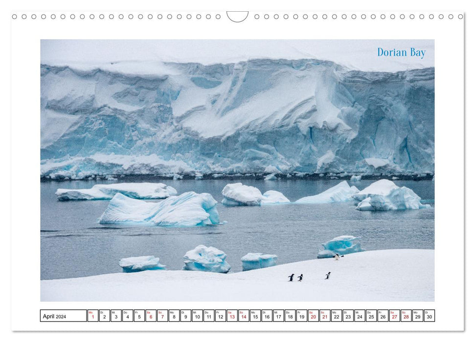 Die Antarktis - Eis, Meer und wilde Tiere (CALVENDO Wandkalender 2024)