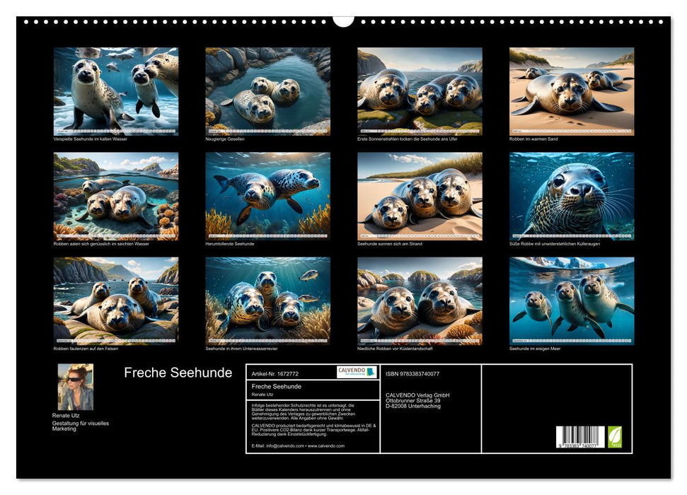 Freche Seehunde (CALVENDO Wandkalender 2024)