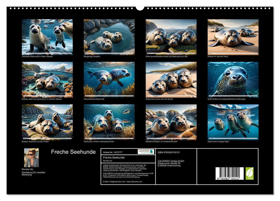Freche Seehunde (CALVENDO Premium Wandkalender 2024)