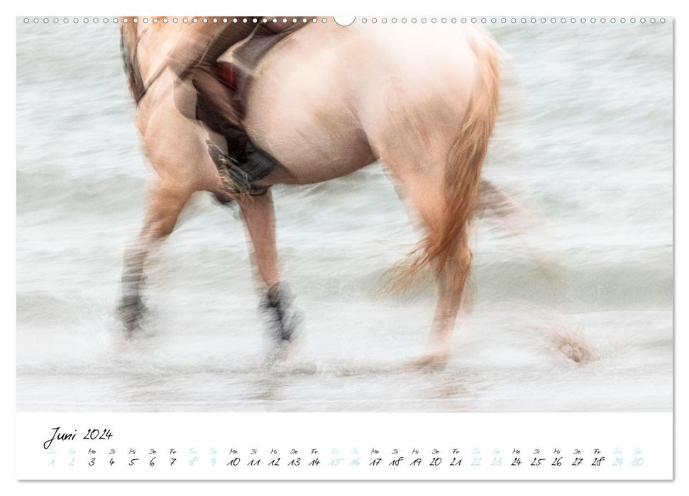Pferde vom Wind verweht (CALVENDO Wandkalender 2024)