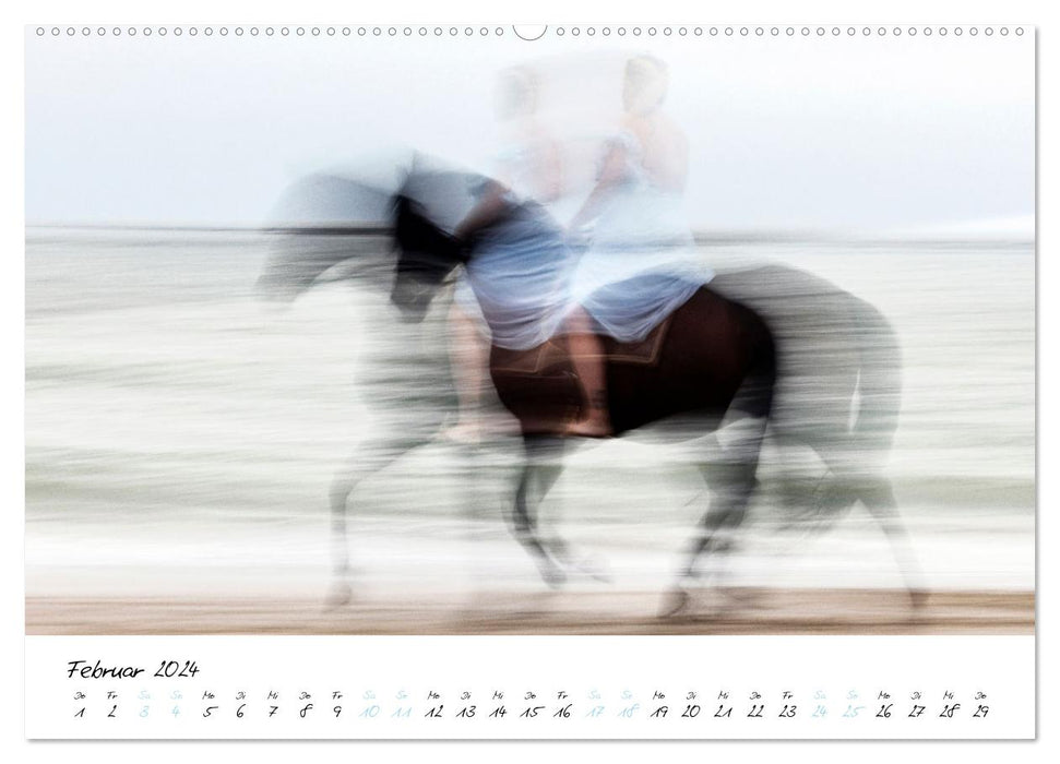 Pferde vom Wind verweht (CALVENDO Premium Wandkalender 2024)