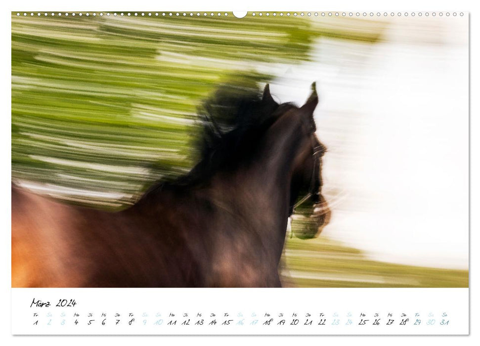 Pferde vom Wind verweht (CALVENDO Premium Wandkalender 2024)