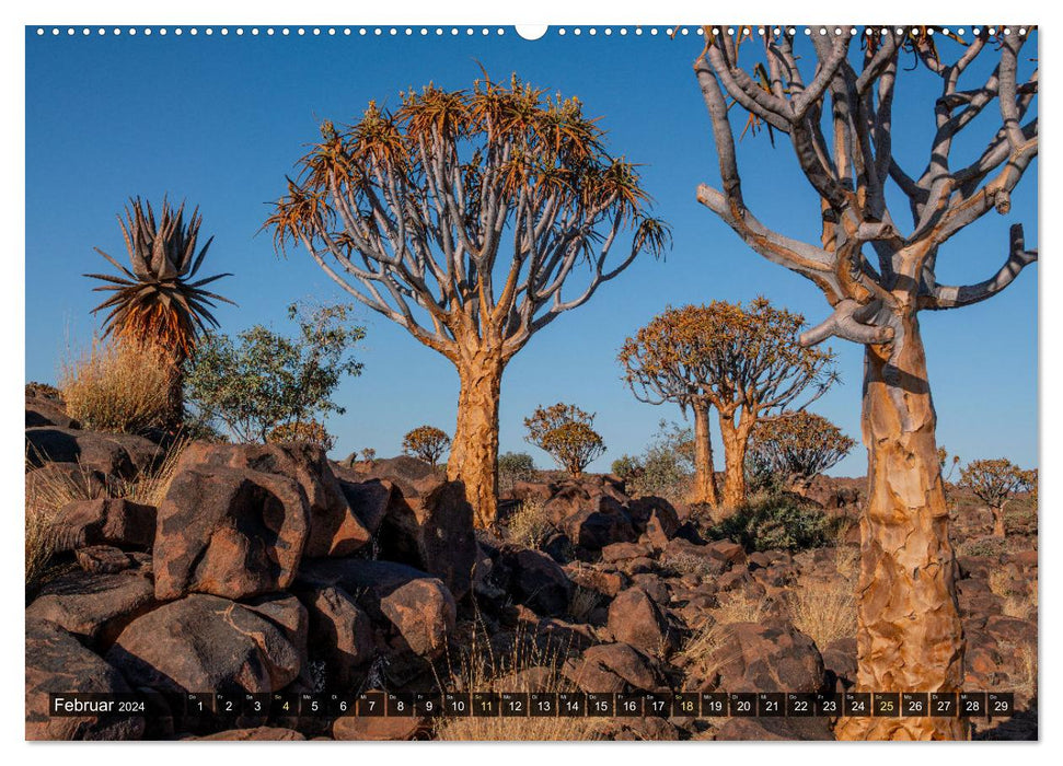 Zwischen Namib und Kalahari (CALVENDO Wandkalender 2024)