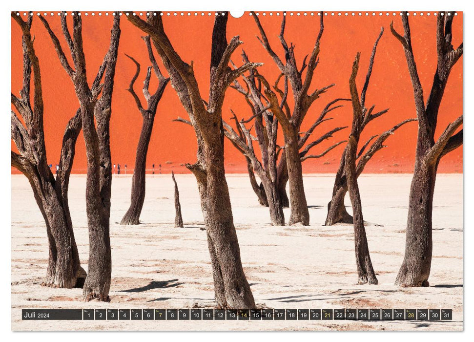 Zwischen Namib und Kalahari (CALVENDO Premium Wandkalender 2024)