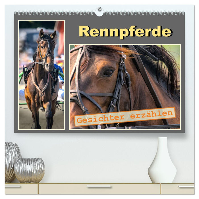 Rennpferde - Gesichter erzählen (CALVENDO Premium Wandkalender 2024)