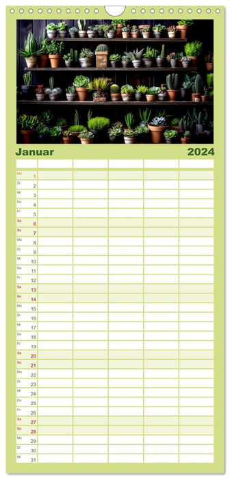 Kaktuszauberland (CALVENDO Familienplaner 2024)
