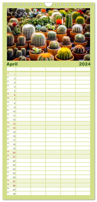 Kaktuszauberland (CALVENDO Familienplaner 2024)