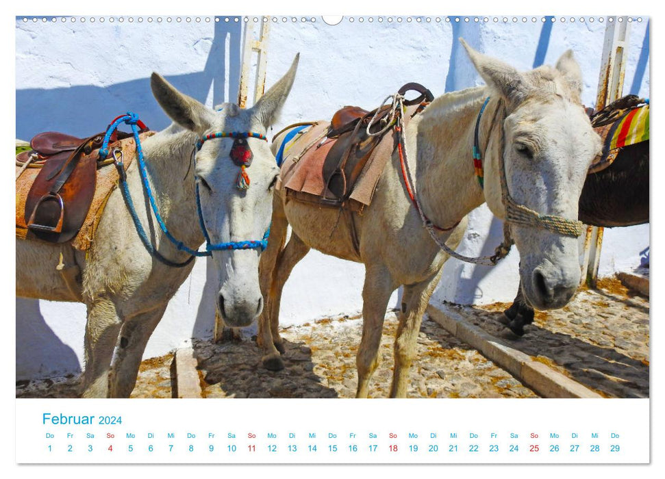 Santorini Königin der griechischen Inseln (CALVENDO Wandkalender 2024)