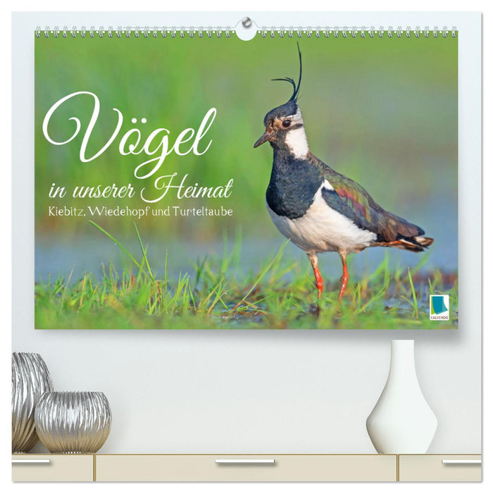 Vögel in unserer Heimat: Kiebitz, Wiedehopf und Turteltaube (CALVENDO Premium Wandkalender 2024)